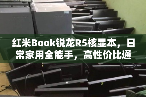 红米Book锐龙R5核显本,日常家用全能手,高性价比通收 红米Book锐龙R5核显本,日常家用全能手,高性价比通收