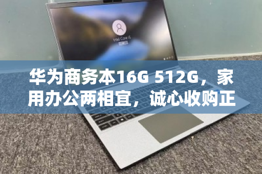 华为商务本16G 512G,家用办公两相宜,诚心收购正当时 华为商务本16G 512G,家用办公两相宜,诚心收购正当时