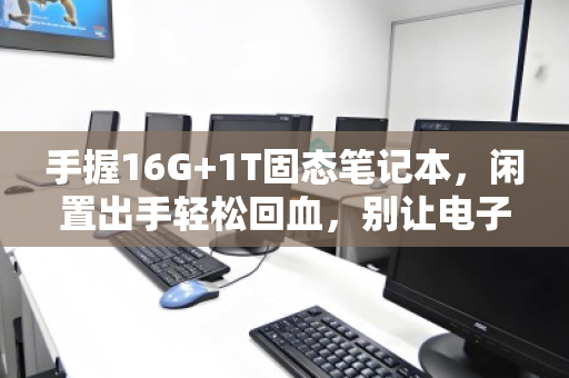 手握16G+1T固态笔记本,闲置出手轻松回血,别让电子古董吃灰了 手握16G+1T固态笔记本,闲置出手轻松回血,别让电子古董吃灰了