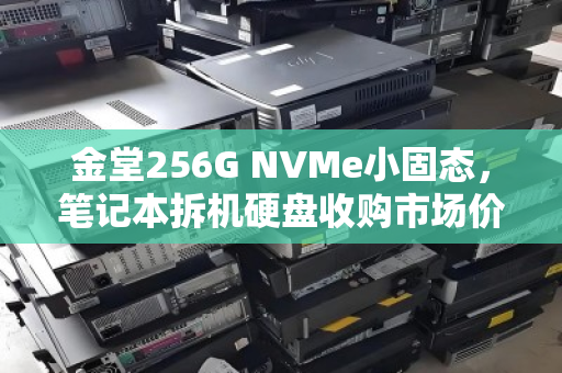 金堂256G NVMe小固态，笔记本拆机硬盘收购市场价全解析
