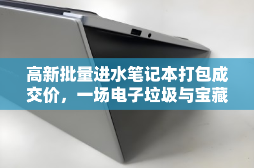 高新批量进水笔记本打包成交价，一场电子垃圾与宝藏的博弈