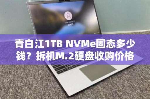 青白江1TB NVMe固态多少钱?拆机M.2硬盘收购价格全解析 青白江1TB NVMe固态多少钱?拆机M.2硬盘收购价格全解析