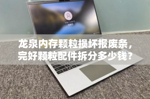 龙泉内存颗粒损坏报废条,完好颗粒配件拆分多少钱?深度解析回收价值与操作流程 龙泉内存颗粒损坏报废条,完好颗粒配件拆分多少钱?深度解析回收价值与操作流程