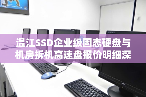 温江SSD企业级固态硬盘与机房拆机高速盘报价明细深度解析