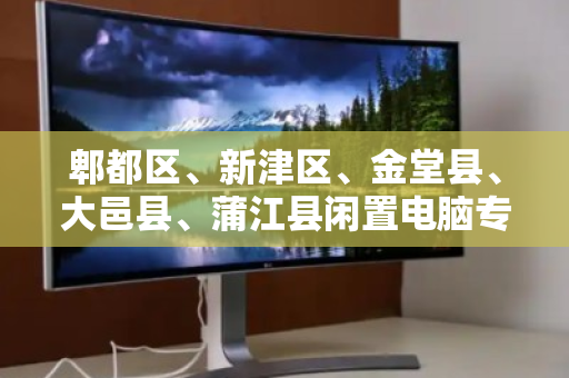 郫都区、新津区、金堂县、大邑县、蒲江县闲置电脑专业回收,变废为宝的绿色选择 郫都区、新津区、金堂县、大邑县、蒲江县闲置电脑专业回收,变废为宝的绿色选择