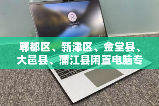 郫都区、新津区、金堂县、大邑县、蒲江县闲置电脑专业回收,变废为宝的绿色选择 郫都区、新津区、金堂县、大邑县、蒲江县闲置电脑专业回收,变废为宝的绿色选择