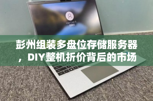彭州组装多盘位存储服务器,DIY整机折价背后的市场真相与价值回归 彭州组装多盘位存储服务器,DIY整机折价背后的市场真相与价值回归