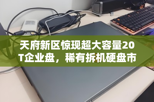 天府新区惊现超大容量20T企业盘,稀有拆机硬盘市场价与回收内幕全解析 天府新区惊现超大容量20T企业盘,稀有拆机硬盘市场价与回收内幕全解析