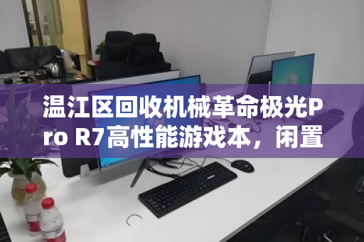 温江区回收机械革命极光Pro R7高性能游戏本,闲置设备也能焕发第二春 温江区回收机械革命极光Pro R7高性能游戏本,闲置设备也能焕发第二春