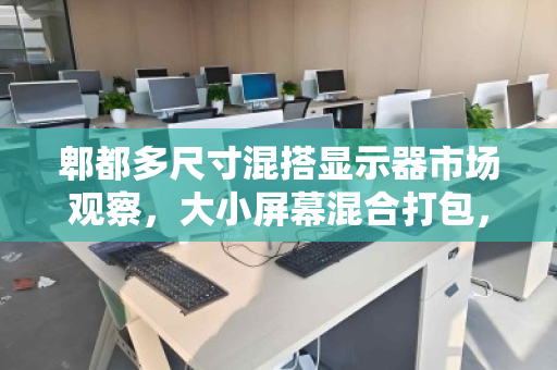 郫都多尺寸混搭显示器市场观察,大小屏幕混合打包,如何实现价值最大化? 郫都多尺寸混搭显示器市场观察,大小屏幕混合打包,如何实现价值最大化?