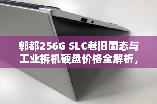郫都256G SLC老旧固态与工业拆机硬盘价格全解析，从性能到回收价值一文读懂