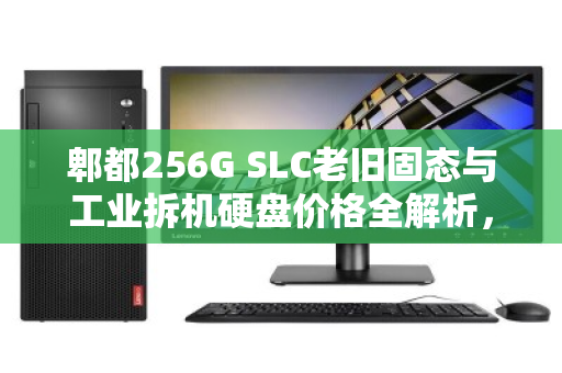 郫都256G SLC老旧固态与工业拆机硬盘价格全解析，从性能到回收价值一文读懂