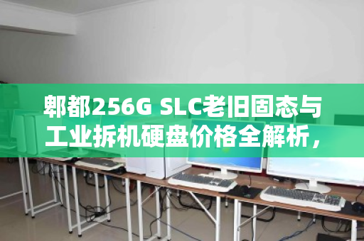 郫都256G SLC老旧固态与工业拆机硬盘价格全解析，从性能到回收价值一文读懂