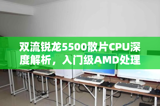 双流锐龙5500散片CPU深度解析,入门级AMD处理器折价报价与市场实况 双流锐龙5500散片CPU深度解析,入门级AMD处理器折价报价与市场实况