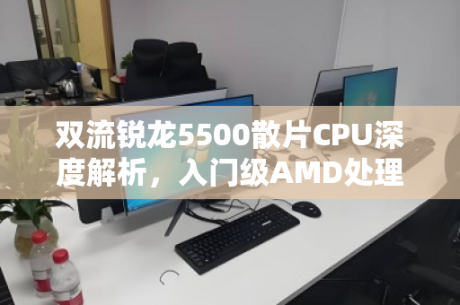 双流锐龙5500散片CPU深度解析,入门级AMD处理器折价报价与市场实况 双流锐龙5500散片CPU深度解析,入门级AMD处理器折价报价与市场实况