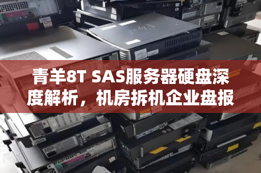 青羊8T SAS服务器硬盘深度解析,机房拆机企业盘报价明细与回收价值全攻略 青羊8T SAS服务器硬盘深度解析,机房拆机企业盘报价明细与回收价值全攻略
