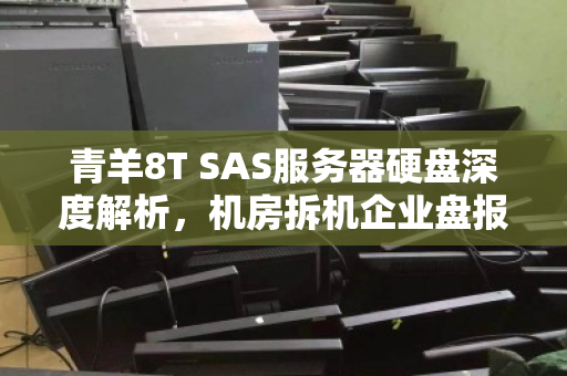 青羊8T SAS服务器硬盘深度解析,机房拆机企业盘报价明细与回收价值全攻略 青羊8T SAS服务器硬盘深度解析,机房拆机企业盘报价明细与回收价值全攻略