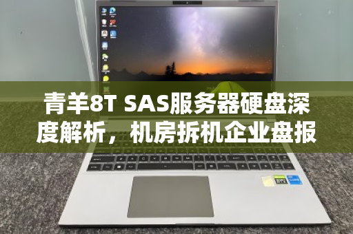 青羊8T SAS服务器硬盘深度解析，机房拆机企业盘报价明细与回收价值全攻略