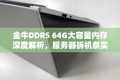 金牛DDR5 64G大容量内存深度解析,服务器拆机条实时报价与选购指南 金牛DDR5 64G大容量内存深度解析,服务器拆机条实时报价与选购指南