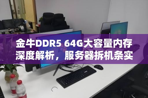 金牛DDR5 64G大容量内存深度解析,服务器拆机条实时报价与选购指南 金牛DDR5 64G大容量内存深度解析,服务器拆机条实时报价与选购指南
