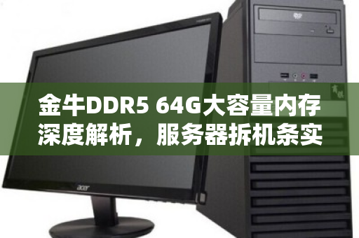 金牛DDR5 64G大容量内存深度解析，服务器拆机条实时报价与选购指南