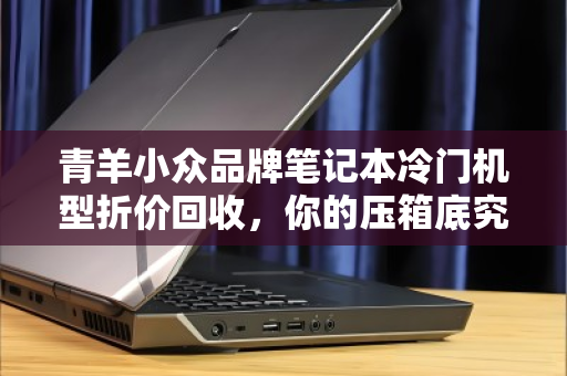 青羊小众品牌笔记本冷门机型折价回收,你的压箱底究竟值多少? 青羊小众品牌笔记本冷门机型折价回收,你的压箱底究竟值多少?