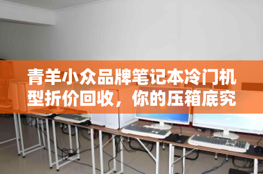 青羊小众品牌笔记本冷门机型折价回收，你的压箱底究竟值多少？