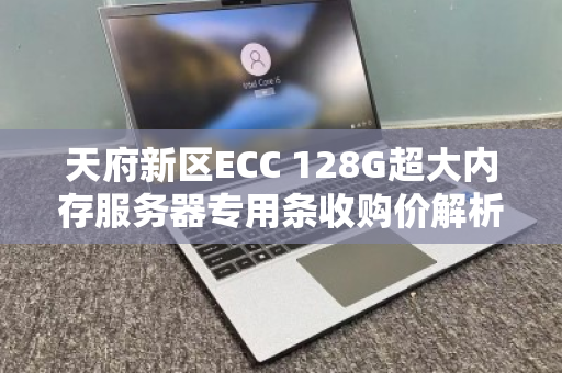 天府新区ECC 128G超大内存服务器专用条收购价解析，高性能硬件的价值回归