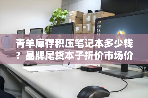 青羊库存积压笔记本多少钱？品牌尾货本子折价市场价深度解析