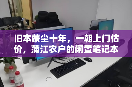 旧本蒙尘十年,一朝上门估价,蒲江农户的闲置笔记本,是废铁还是宝贝? 旧本蒙尘十年,一朝上门估价,蒲江农户的闲置笔记本,是废铁还是宝贝?