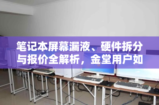 笔记本屏幕漏液、硬件拆分与报价全解析，金堂用户如何应对液晶损坏？