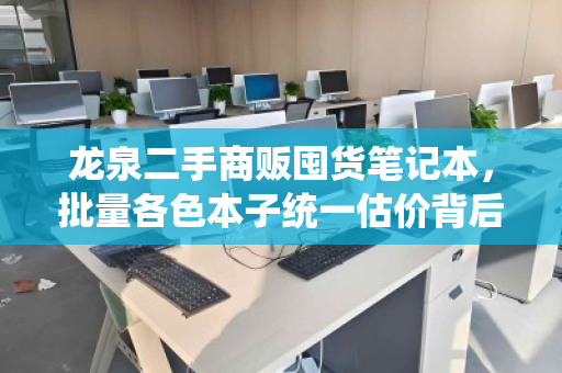 龙泉二手商贩囤货笔记本,批量各色本子统一估价背后的市场逻辑与真实反馈 龙泉二手商贩囤货笔记本,批量各色本子统一估价背后的市场逻辑与真实反馈