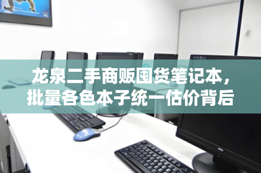 龙泉二手商贩囤货笔记本，批量各色本子统一估价背后的市场逻辑与真实反馈