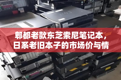 郫都老款东芝索尼笔记本,日系老旧本子的市场价与情怀价值 郫都老款东芝索尼笔记本,日系老旧本子的市场价与情怀价值