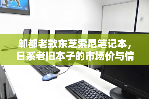 郫都老款东芝索尼笔记本,日系老旧本子的市场价与情怀价值 郫都老款东芝索尼笔记本,日系老旧本子的市场价与情怀价值