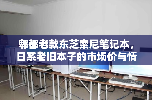 郫都老款东芝索尼笔记本，日系老旧本子的市场价与情怀价值