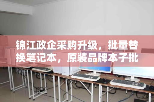锦江政企采购升级，批量替换笔记本，原装品牌本子批量报价全解析