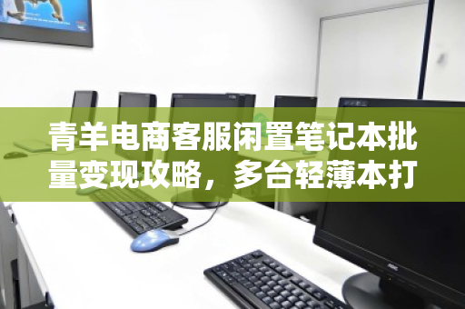 青羊电商客服闲置笔记本批量变现攻略，多台轻薄本打包收购价格全解析