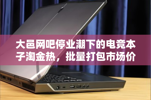 大邑网吧停业潮下的电竞本子淘金热，批量打包市场价深度解析