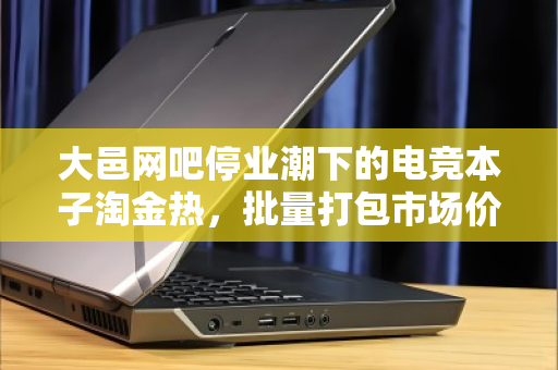 大邑网吧停业潮下的电竞本子淘金热，批量打包市场价深度解析