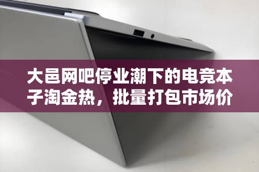 大邑网吧停业潮下的电竞本子淘金热，批量打包市场价深度解析