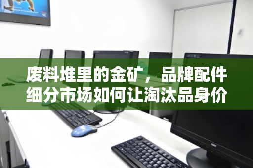 废料堆里的金矿,品牌配件细分市场如何让淘汰品身价翻倍?从221到320的编号启示 废料堆里的金矿,品牌配件细分市场如何让淘汰品身价翻倍?从221到320的编号启示
