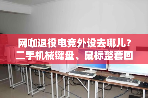 网咖退役电竞外设去哪儿?二手机械键盘、鼠标整套回收,让闲置设备焕发第二春 网咖退役电竞外设去哪儿?二手机械键盘、鼠标整套回收,让闲置设备焕发第二春