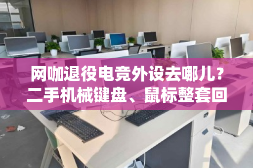 网咖退役电竞外设去哪儿?二手机械键盘、鼠标整套回收,让闲置设备焕发第二春 网咖退役电竞外设去哪儿?二手机械键盘、鼠标整套回收,让闲置设备焕发第二春