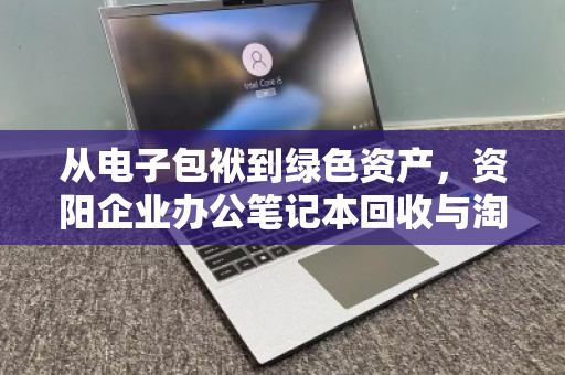 从电子包袱到绿色资产,资阳企业办公笔记本回收与淘汰设备收购的价值重塑 从电子包袱到绿色资产,资阳企业办公笔记本回收与淘汰设备收购的价值重塑