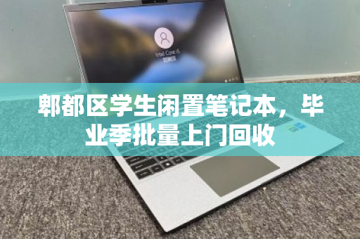 郫都区学生闲置笔记本,毕业季批量上门回收 郫都区学生闲置笔记本,毕业季批量上门回收